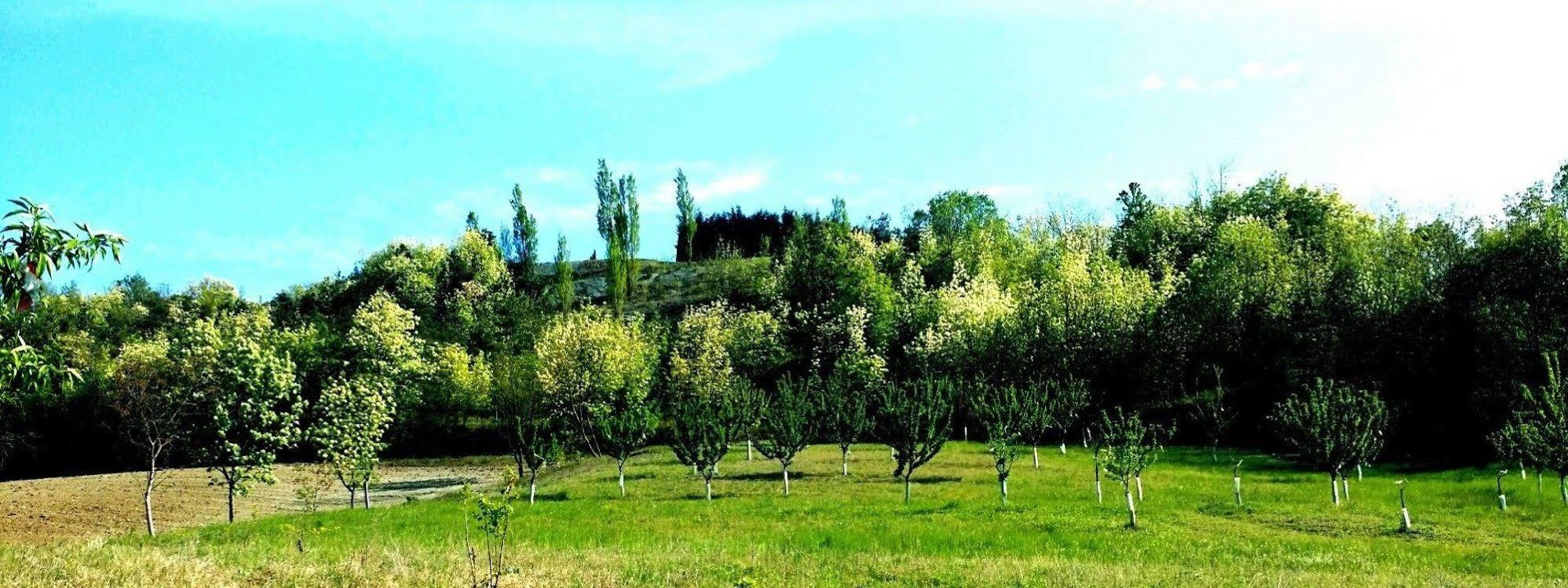Tenuta Valdorso - Agri Resort Montechiaro D'acqui Экстерьер фото